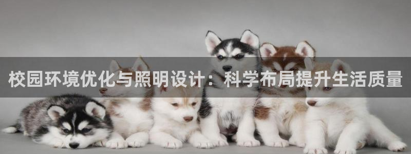 校园环境优化与照明设计：科学布局提升生活质量