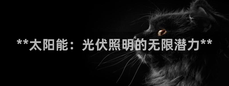 **太阳能：光伏照明的无限潜力**