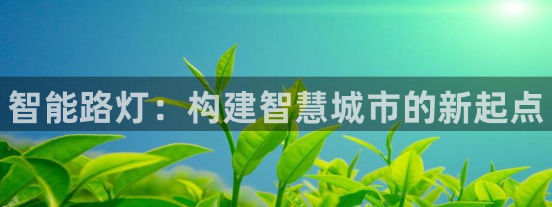 智能路灯：构建智慧城市的新起点