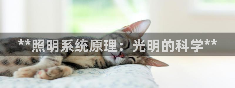 **照明系统原理：光明的科学**