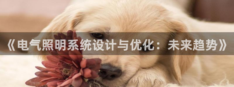 《电气照明系统设计与优化：未来趋势》