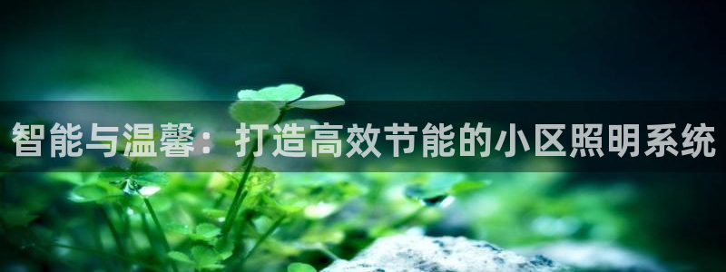 智能与温馨：打造高效节能的小区照明系统