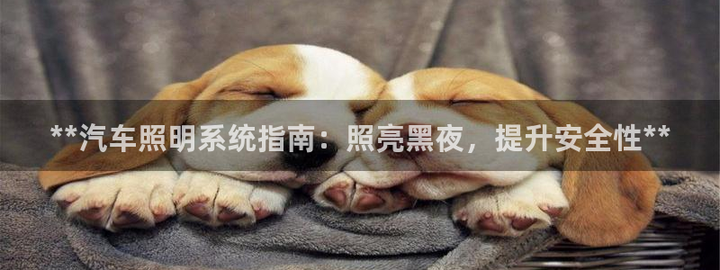 **汽车照明系统指南：照亮黑夜，提升安全性**