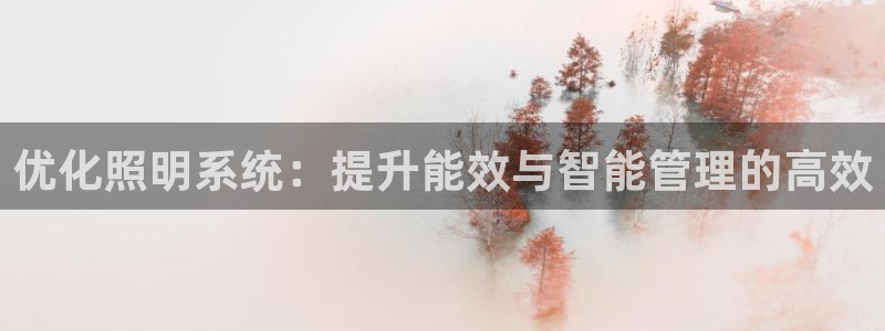 优化照明系统：提升能效与智能管理的高效