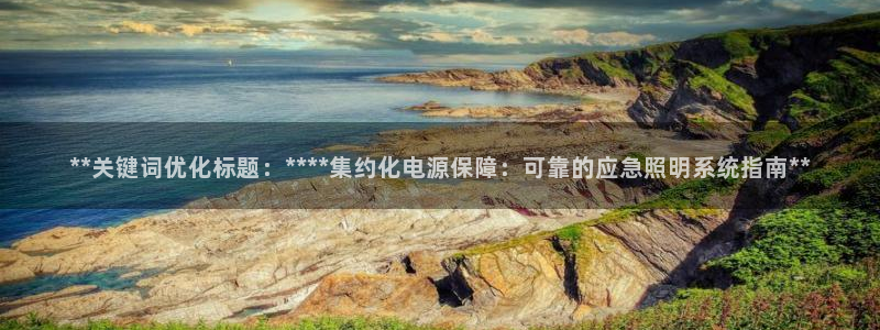 **关键词优化标题：****集约化电源保障：可靠的应急照明系统指南**