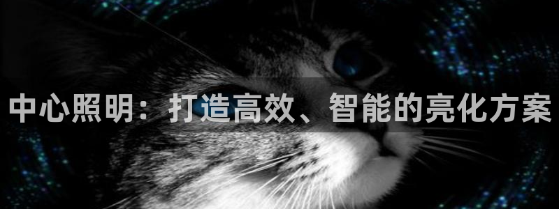 中心照明：打造高效、智能的亮化方案