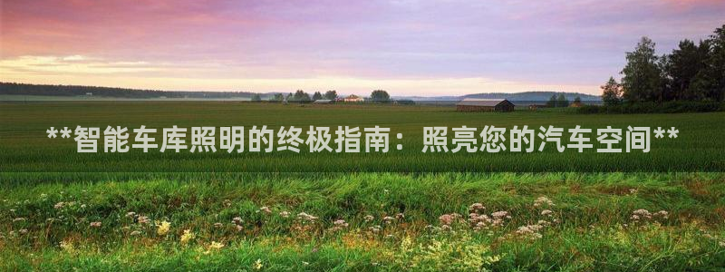 **智能车库照明的终极指南：照亮您的汽车空间**