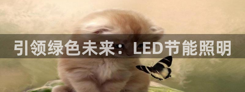 引领绿色未来：LED节能照明