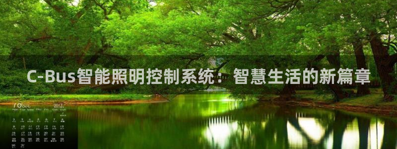 C-Bus智能照明控制系统：智慧生活的新篇章