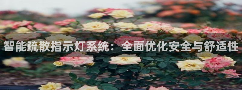 智能疏散指示灯系统：全面优化安全与舒适性