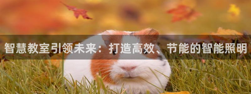 智慧教室引领未来：打造高效、节能的智能照明