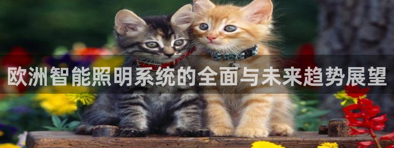 欧洲智能照明系统的全面与未来趋势展望