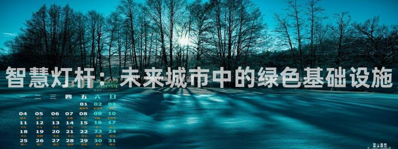 智慧灯杆：未来城市中的绿色基础设施