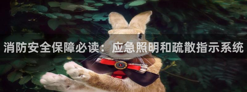 消防安全保障必读：应急照明和疏散指示系统