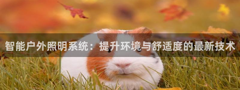 智能户外照明系统：提升环境与舒适度的最新技术
