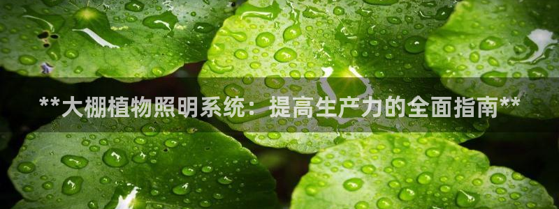 **大棚植物照明系统：提高生产力的全面指