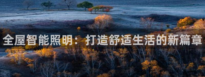 全屋智能照明：打造舒适生活的新篇章